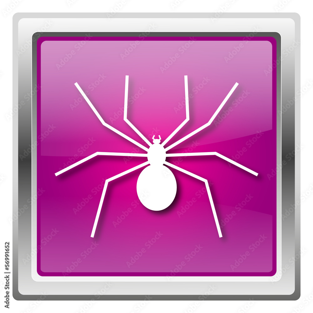 Spider icon Spider icon