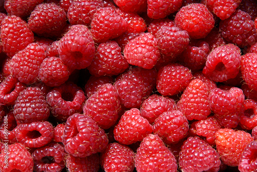 red,summer raspberries