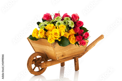 Slika na platnu Wheel barrow flowers