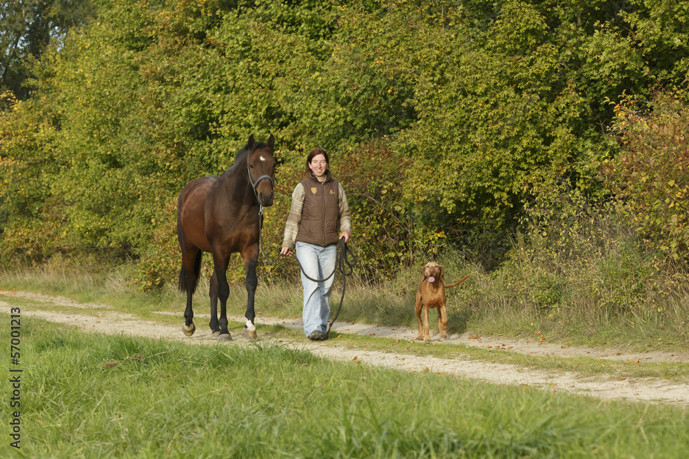Spaziergang Frau mit Hund und Pferd