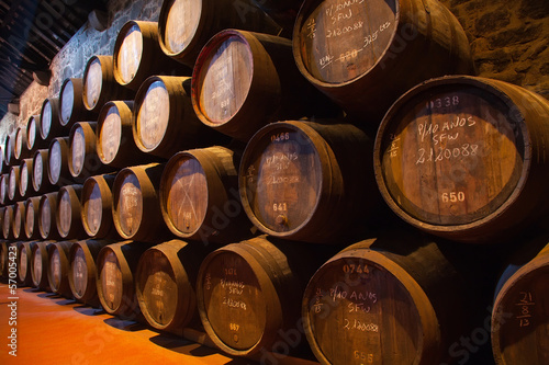 cellar with wine barrels photo