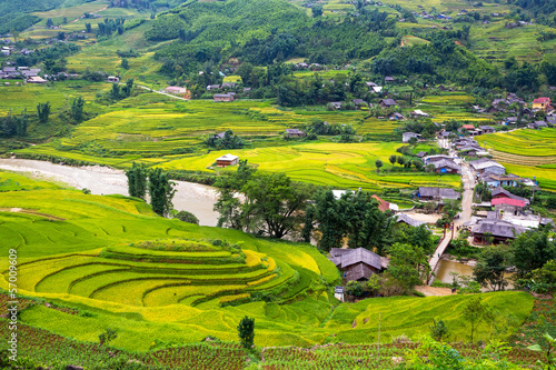 Terraced rice fields in Sapa, Lao Cai, Vietnam