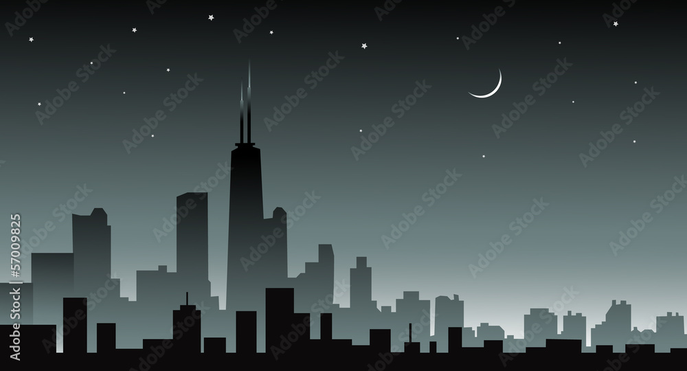Chicago skiline at Night - vector