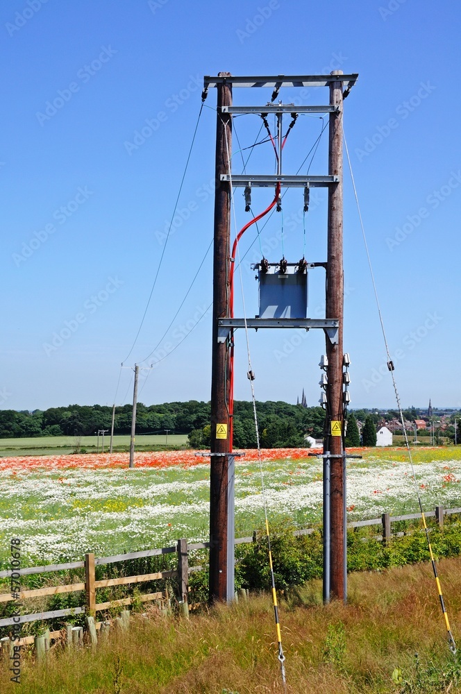 Telegraph poles, Lichfield, England © Arena Photo UK