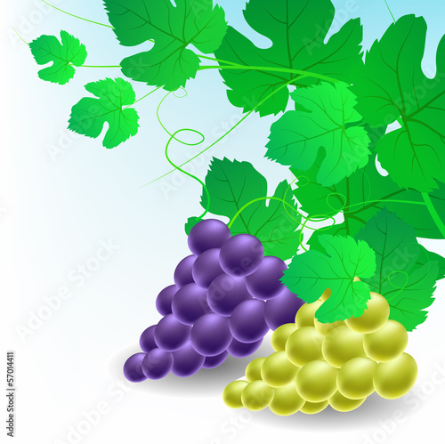 Corner decoration with grapes