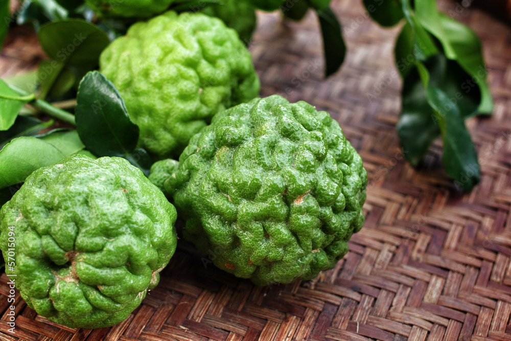 Fresh kaffir Fresh kaffir