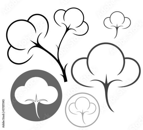 Cotton