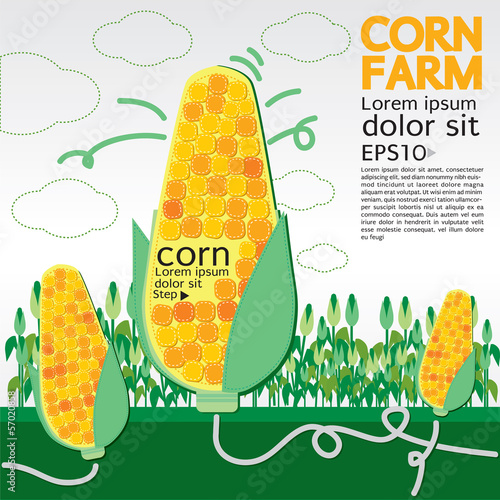 Corn Farm Illustration Vector.EPS10