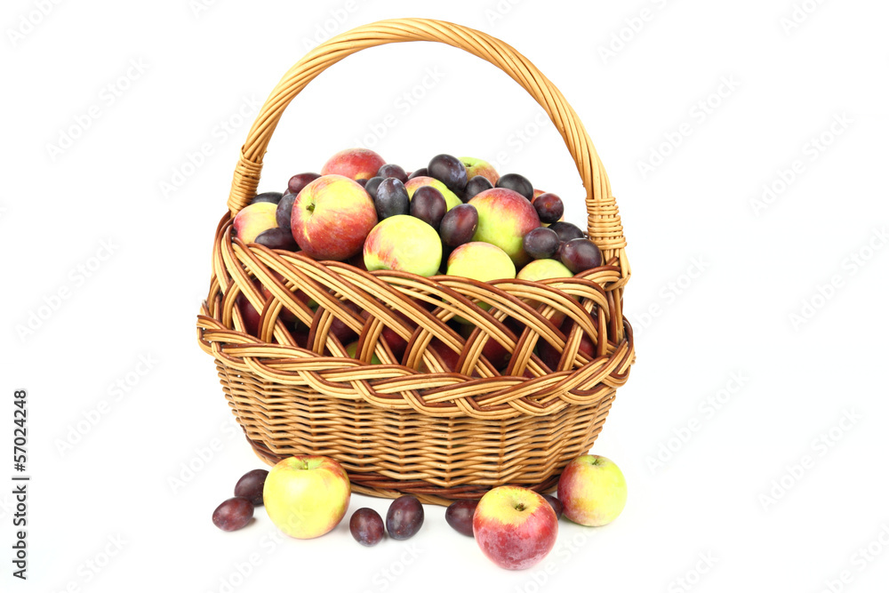 The apples and plum in the basket The apples and plum in the basket