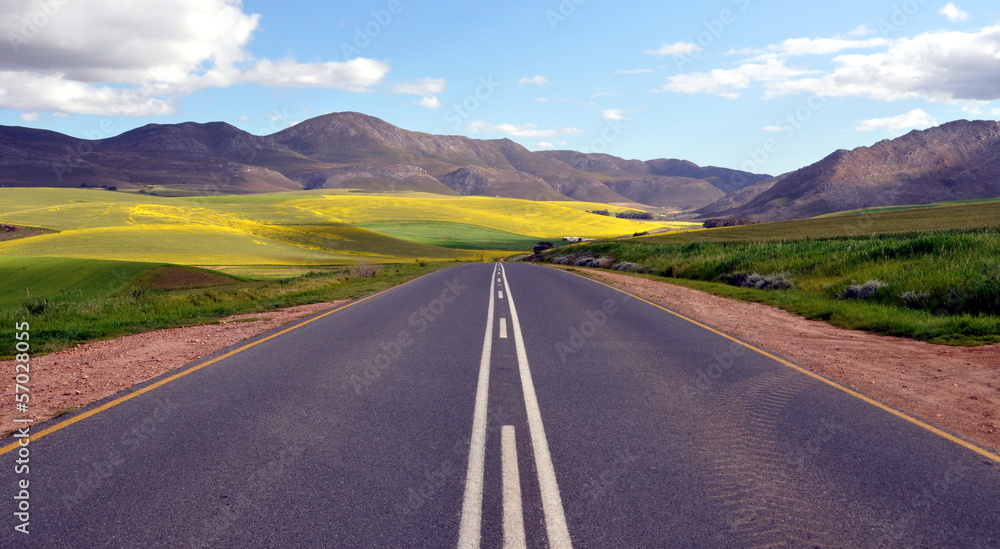 Fototapeta premium Endless Road Rural Landscape South Africa
