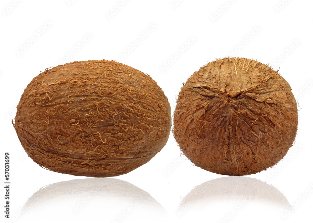 coconuts coconuts