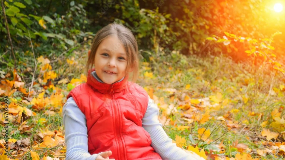 child in autumn leaves child in autumn leaves