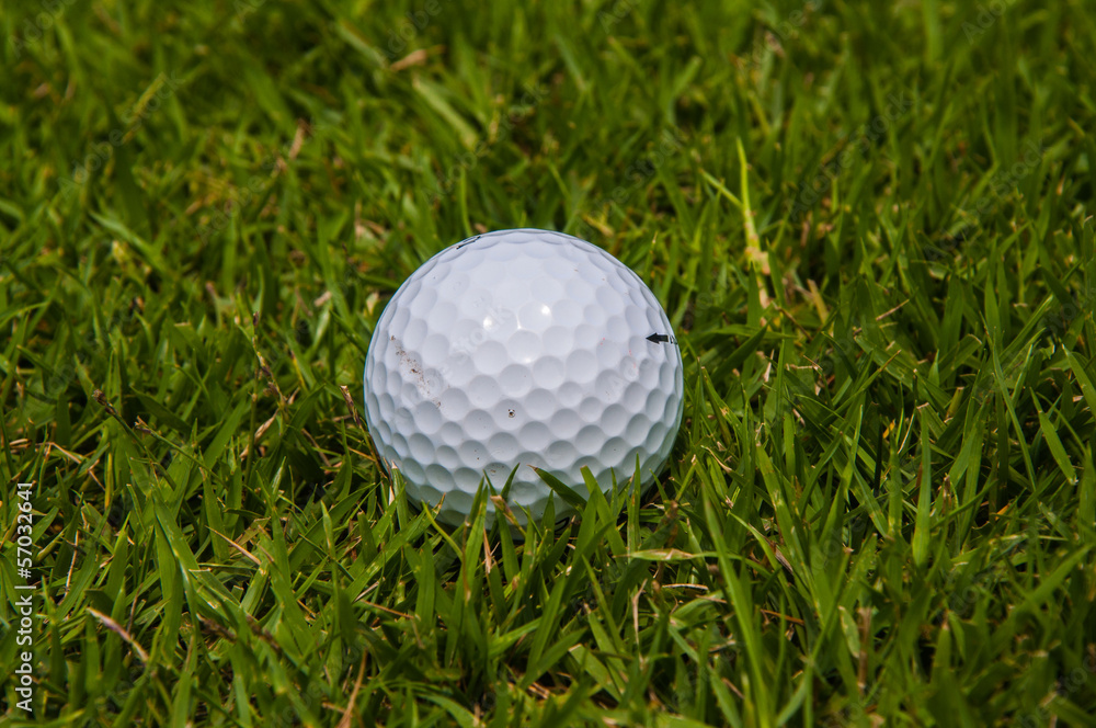 a white golf ball on grass