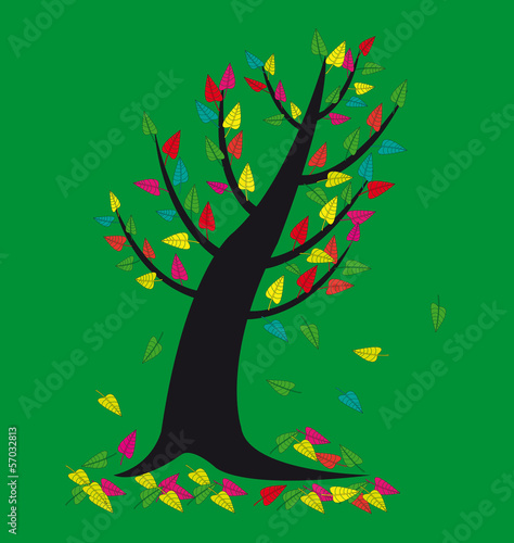 Multi-colored leaves on a tree
