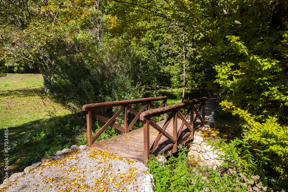 Wooden bridge in the autumn park