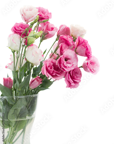 pink eustoma flowers in vase