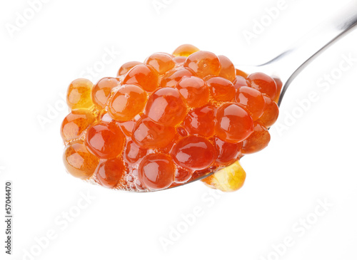 Red caviar on the spoon