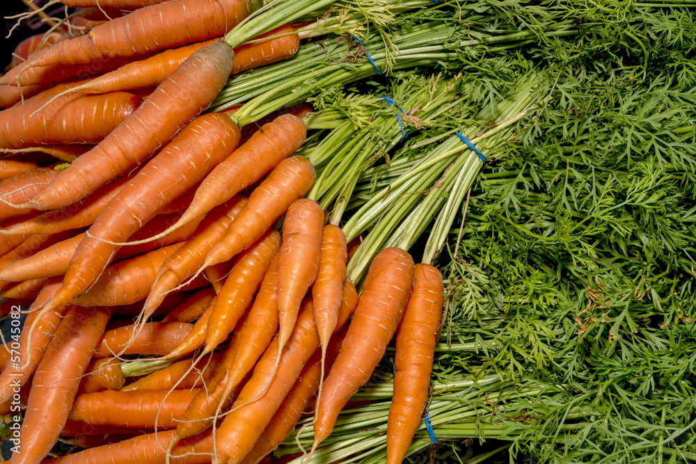 Fresh orange carrots piled in a bundle Fresh orange carrots piled in a bundle