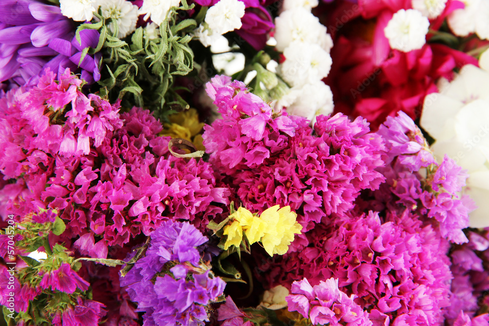 Beautiful summer flowers close-up background Beautiful summer flowers close-up background