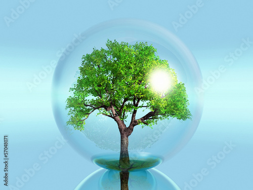 green tree in a bubble