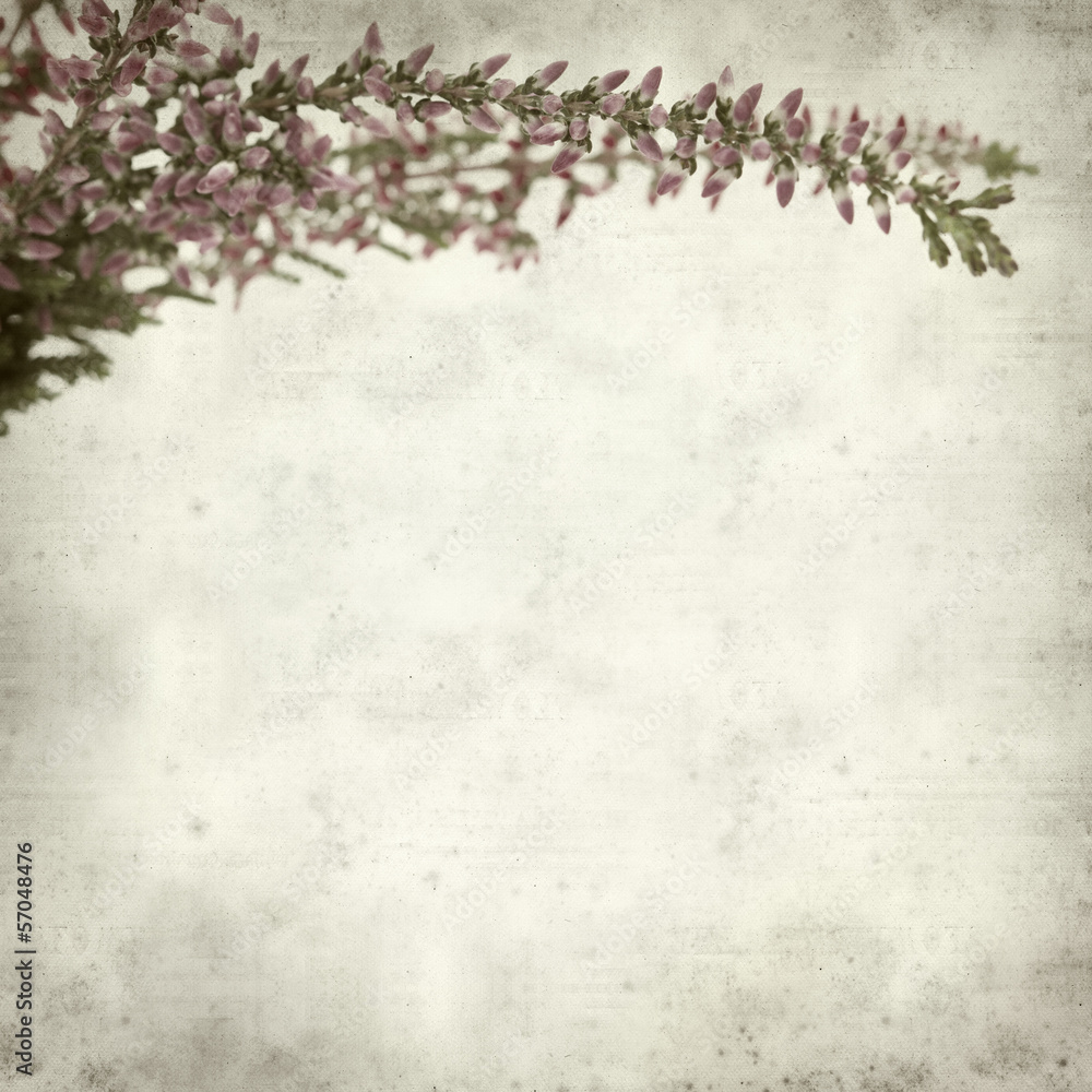 textured old paper background textured old paper background
