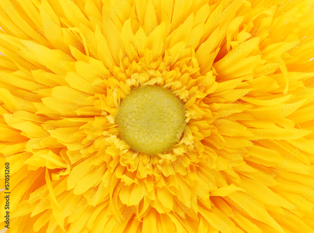 Yellow flower core closeup. Yellow flower core closeup.