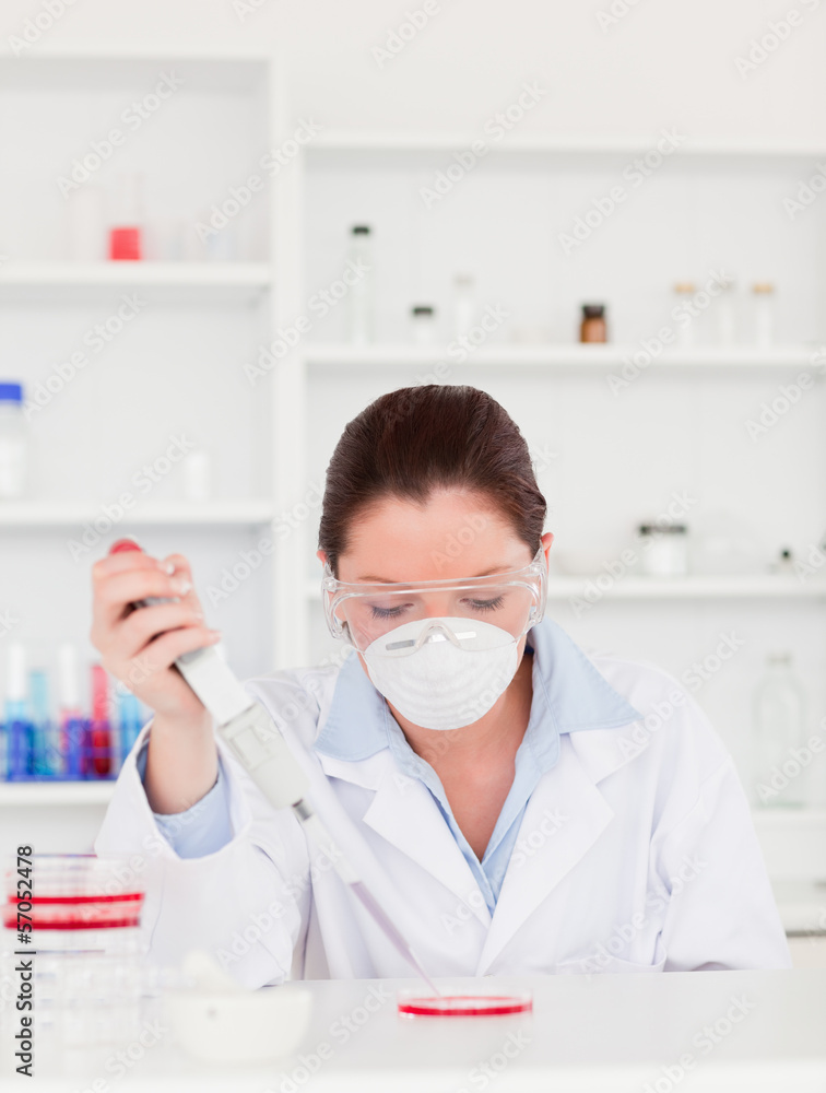 Portrait of a beautiful scientist preparing Portrait of a beautiful scientist preparing