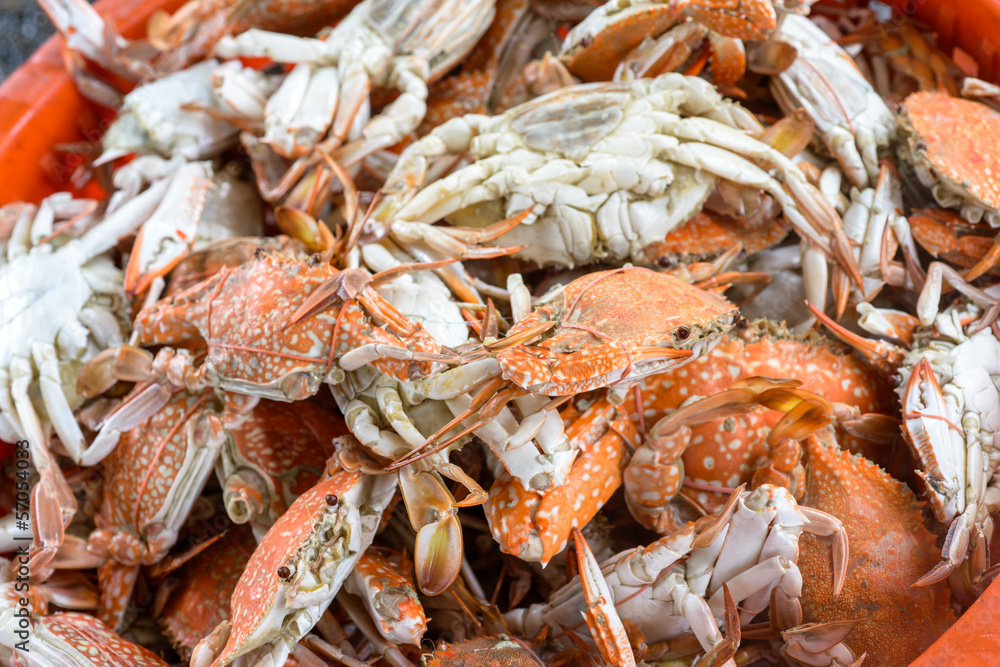Steamed crab Steamed crab