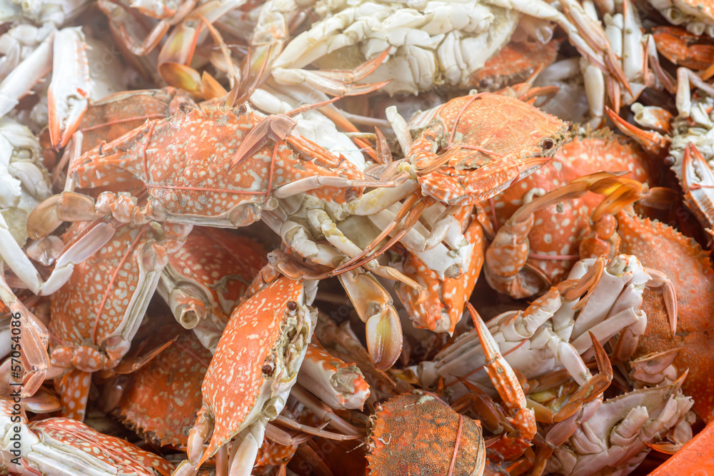 Steamed crab Steamed crab