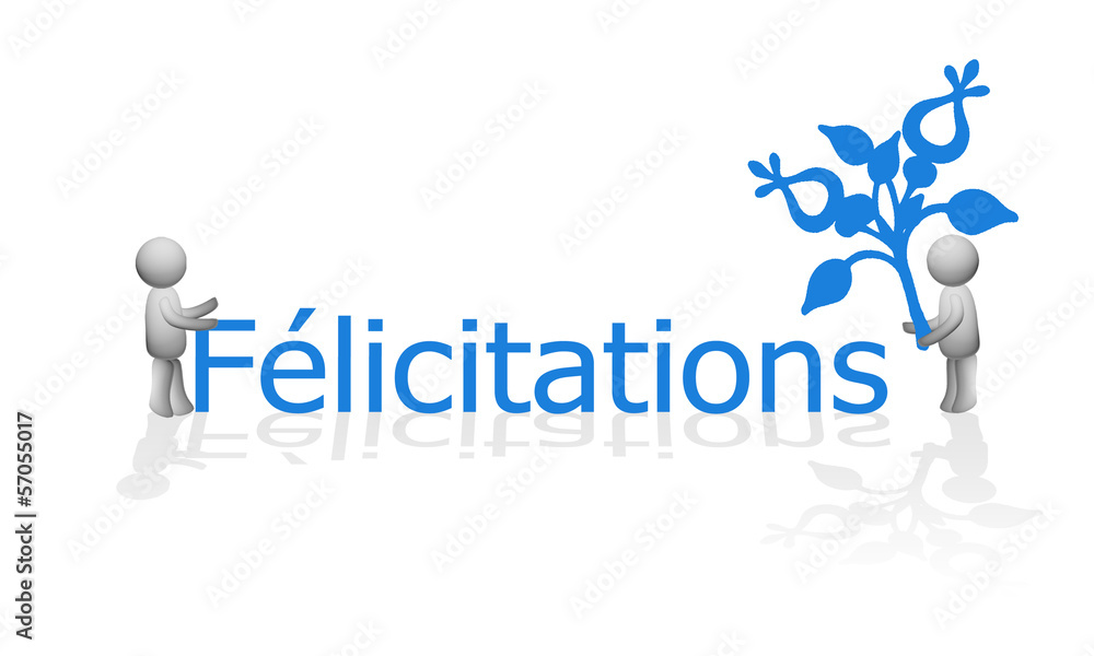 Naklejka premium 3D - Félicitations