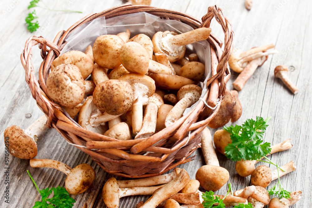 Fresh mushrooms Fresh mushrooms
