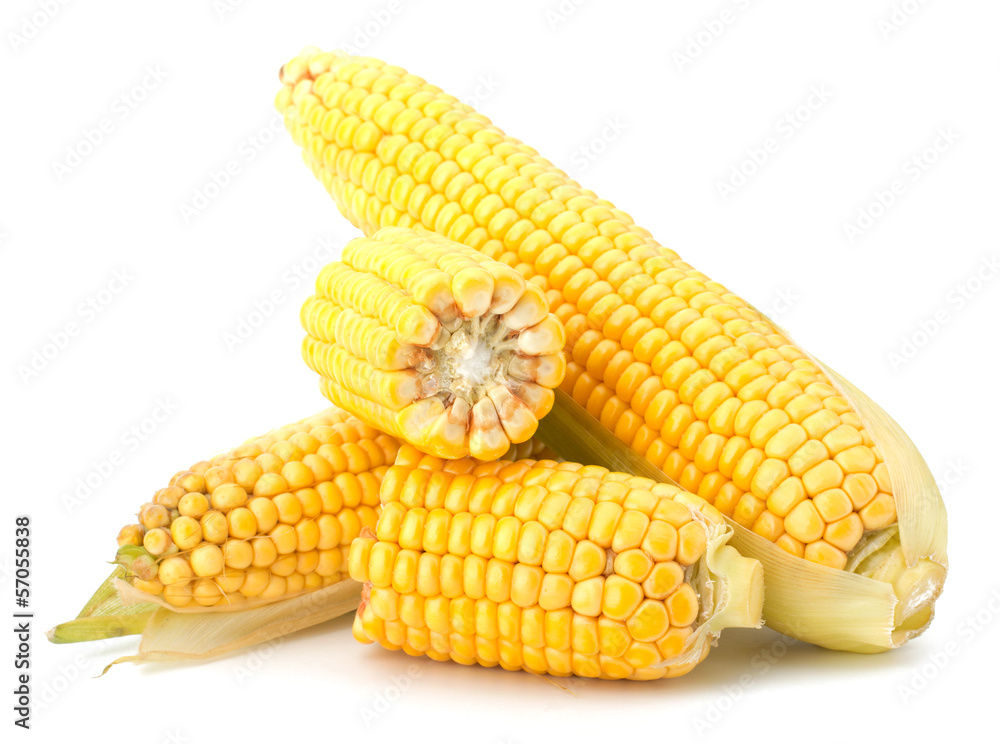 Fresh raw corn cobs isolated on the white background Fresh raw corn cobs isolated on the white background