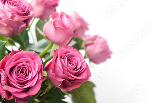 Bouquet of beautiful pink roses on white background. © N.Van Doninck