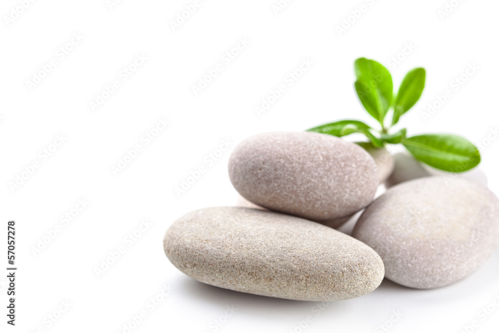 stones and green leaves
