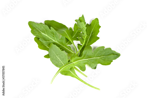 fresh rucola leaves