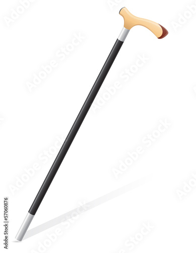 walking stick vector illustration