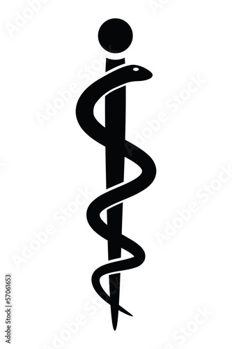 Medical symbol caduceus snake with stick photo