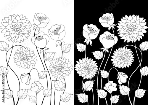 Black and white flowers