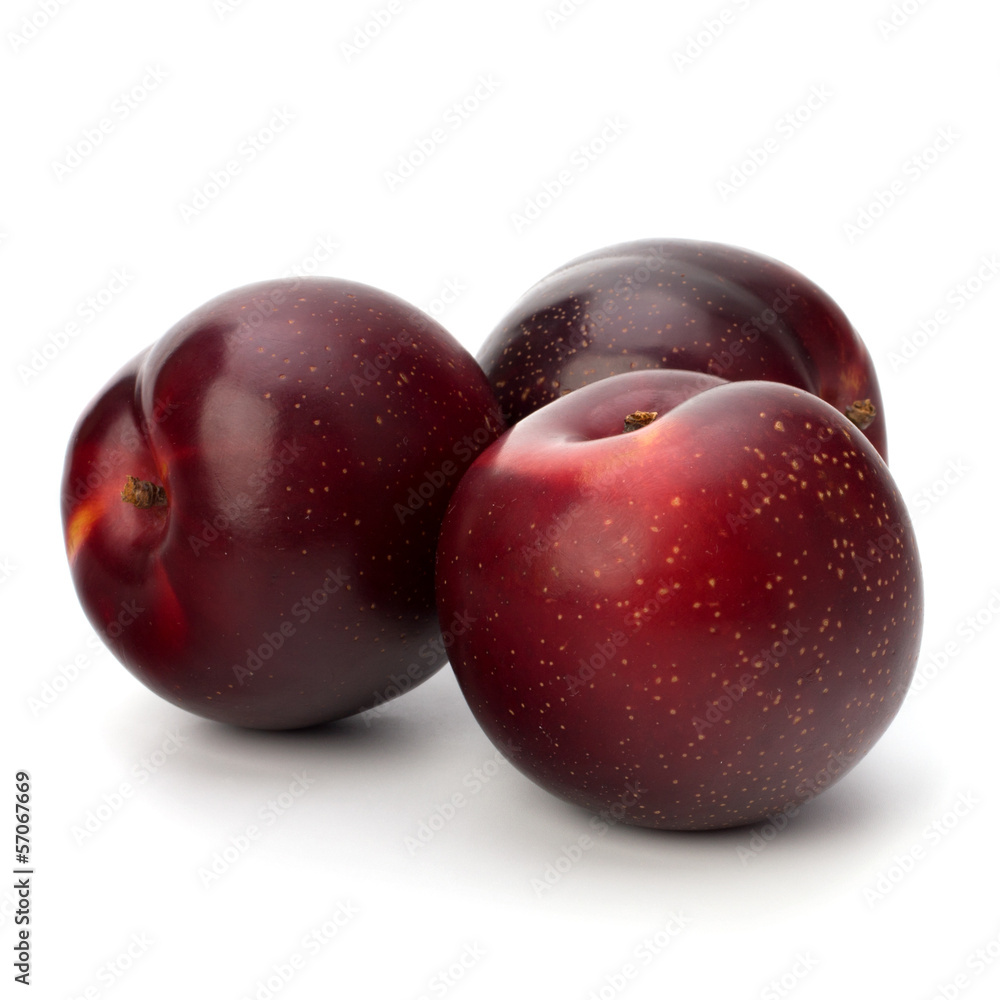 Obraz premium Red plum fruit