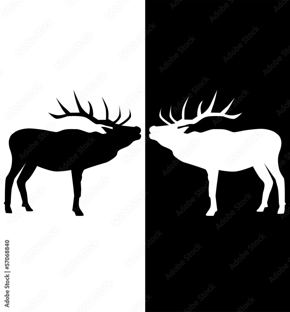vector black white and black deer vector black white and black deer