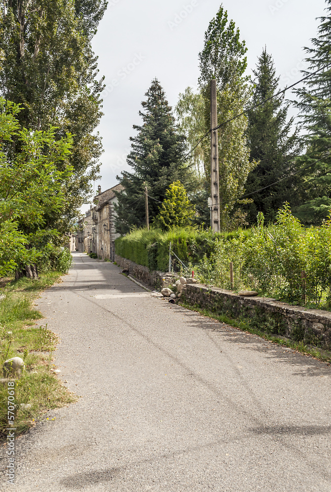 Calle con arboles