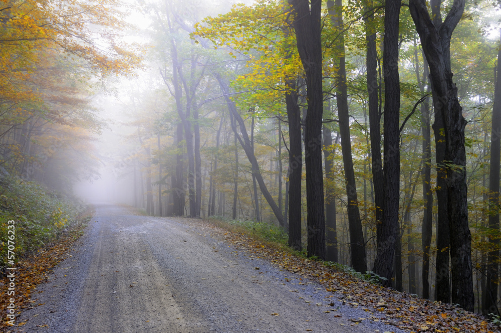 Obraz premium Foggy Mountain Road