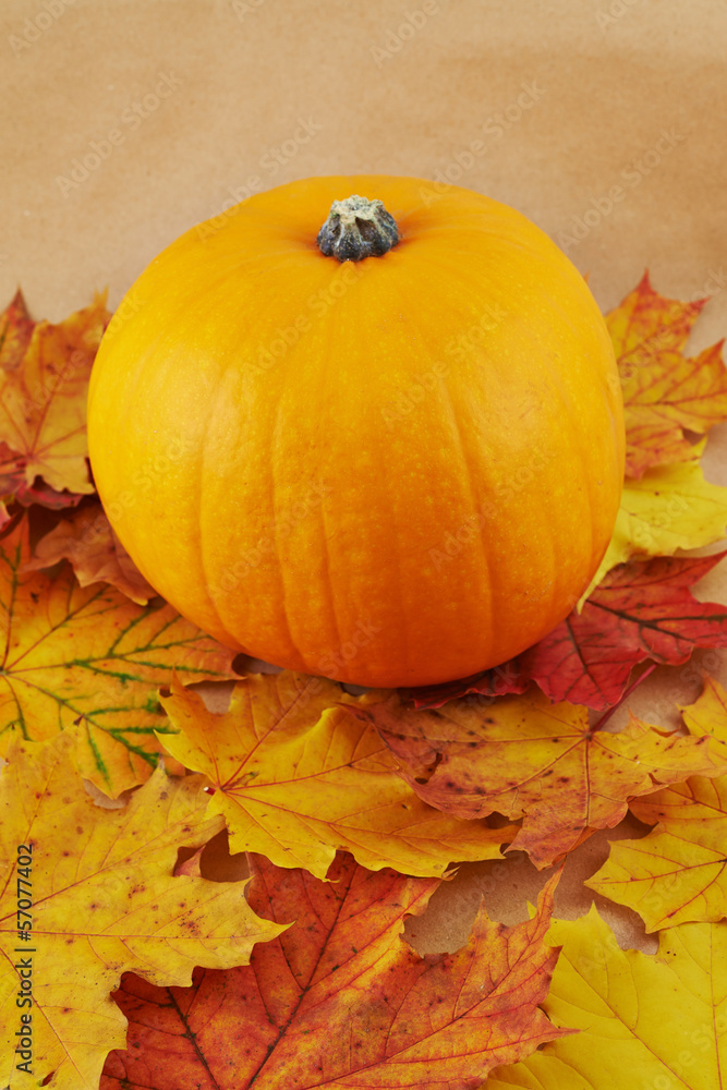 Orange pumpkin against maple-leaf background Orange pumpkin against maple-leaf background