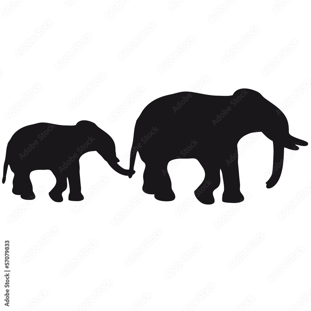 Fototapeta premium Elephant Mother