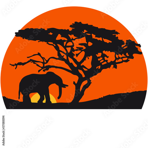 Elephant At Sunset In Africa © Style-o-Mat-Design