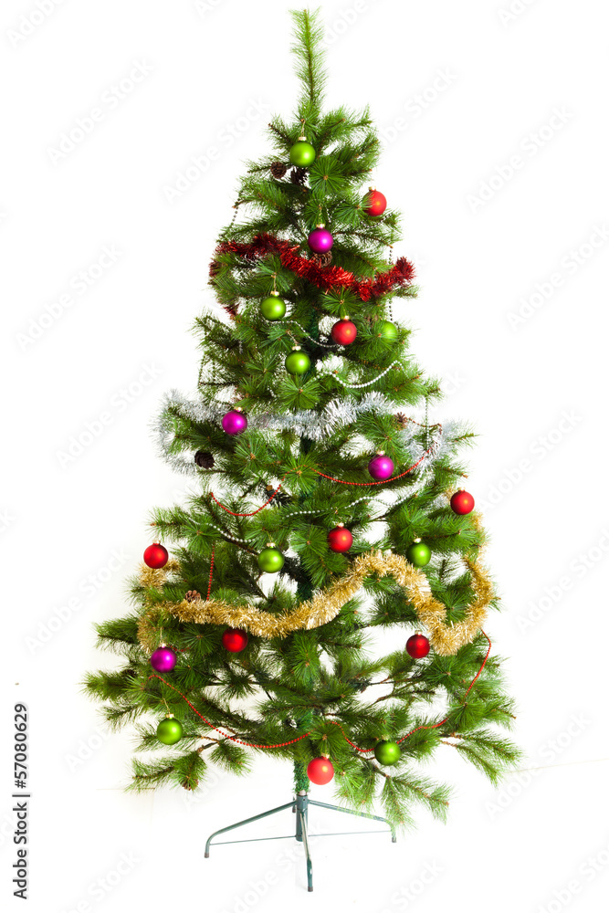 christmas tree isolated. christmas tree isolated.