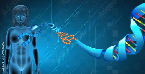Deoxyribonucleic acid