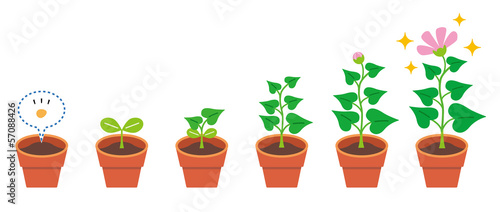 植物　育生　生長