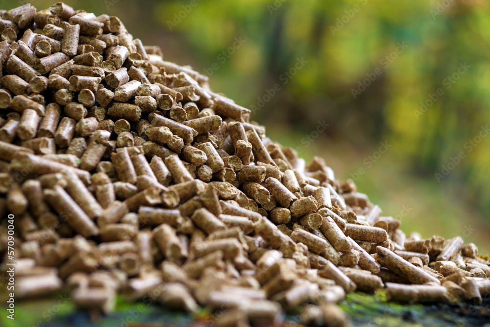 Fototapeta premium Wood pellets