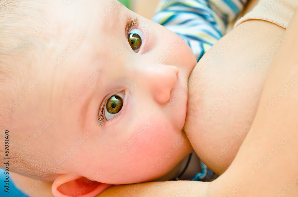 Attractive baby is fed mother's milk looking at camera Attractive baby is fed mother's milk looking at camera